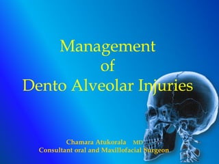 Management
of
Dento Alveolar Injuries
Chamara Atukorala MD
Consultant oral and Maxillofacial Surgeon
 