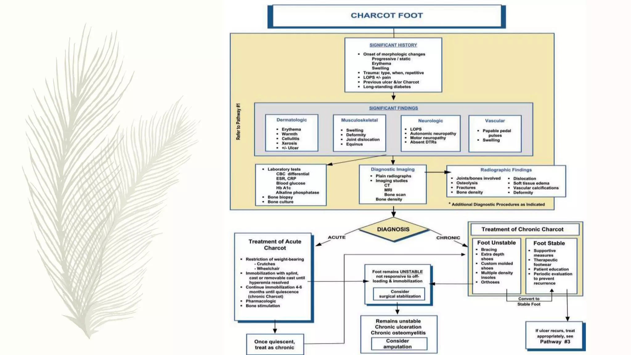 Management of diabetic foot | PPTX