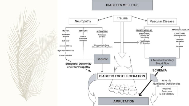 Management of diabetic foot | PPTX | Foot Health | Diseases and Conditions