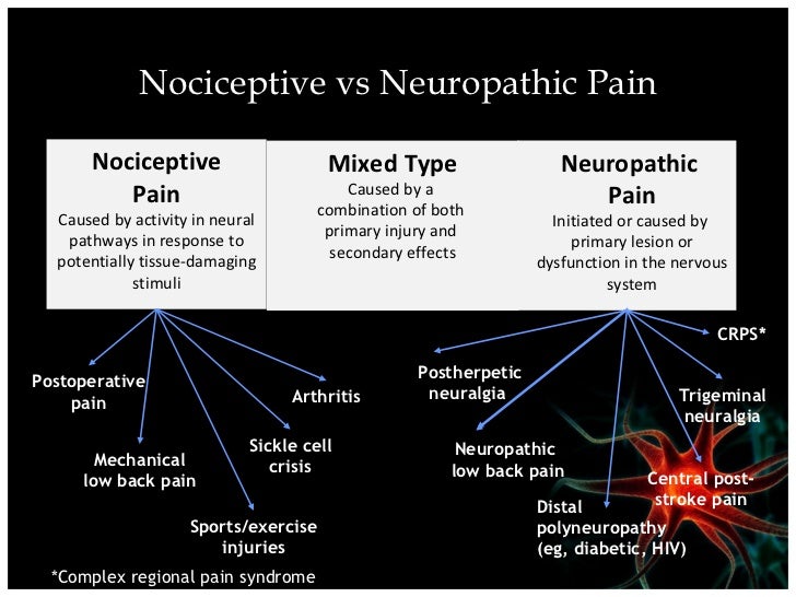 Nociceptive Vs Neuropathic Chart