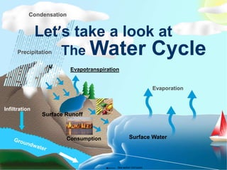 Condensation


               Let’s take a look at
       Precipitation    The Water                                   Cycle
                             Evapotranspiration


                                                                    Evaporation


Infiltration
                  Surface Runoff



                          Consumption                 Surface Water



  .ppt (40)
                                              Sea water intrusion
 