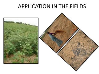 APPLICATION IN THE FIELDS
 
