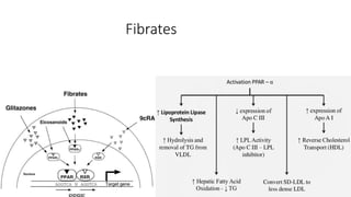 Fibrates
 