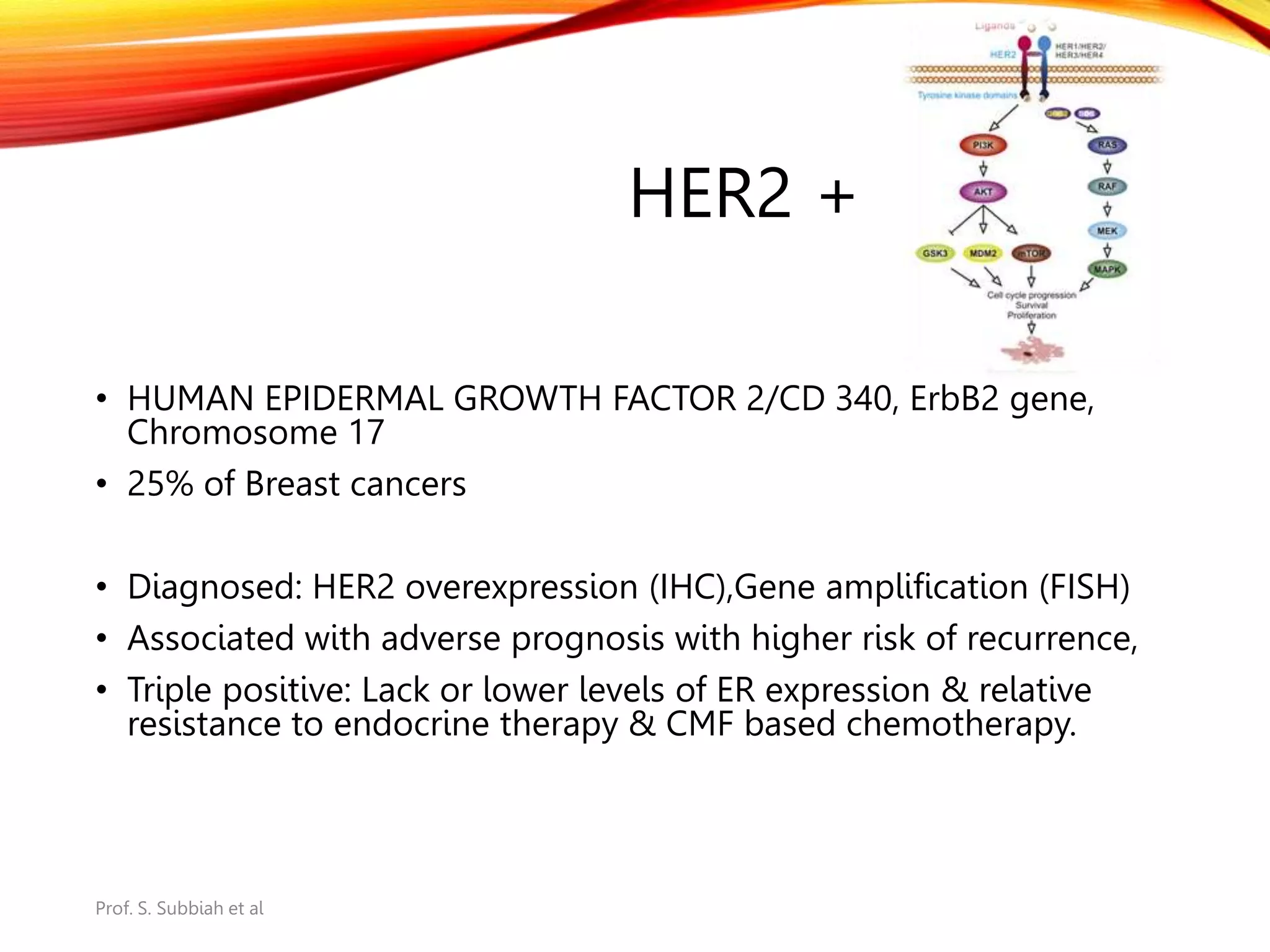 MANAGEMENT OF EARLY OPERABLE HER2+ BREAST CANCER.pptx