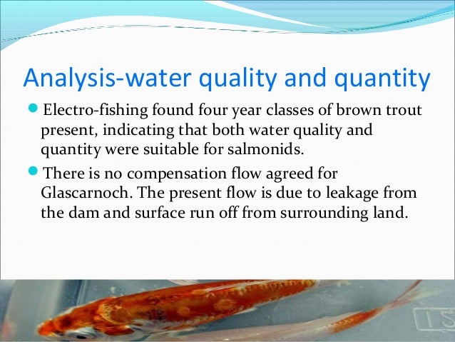 Management of fish production