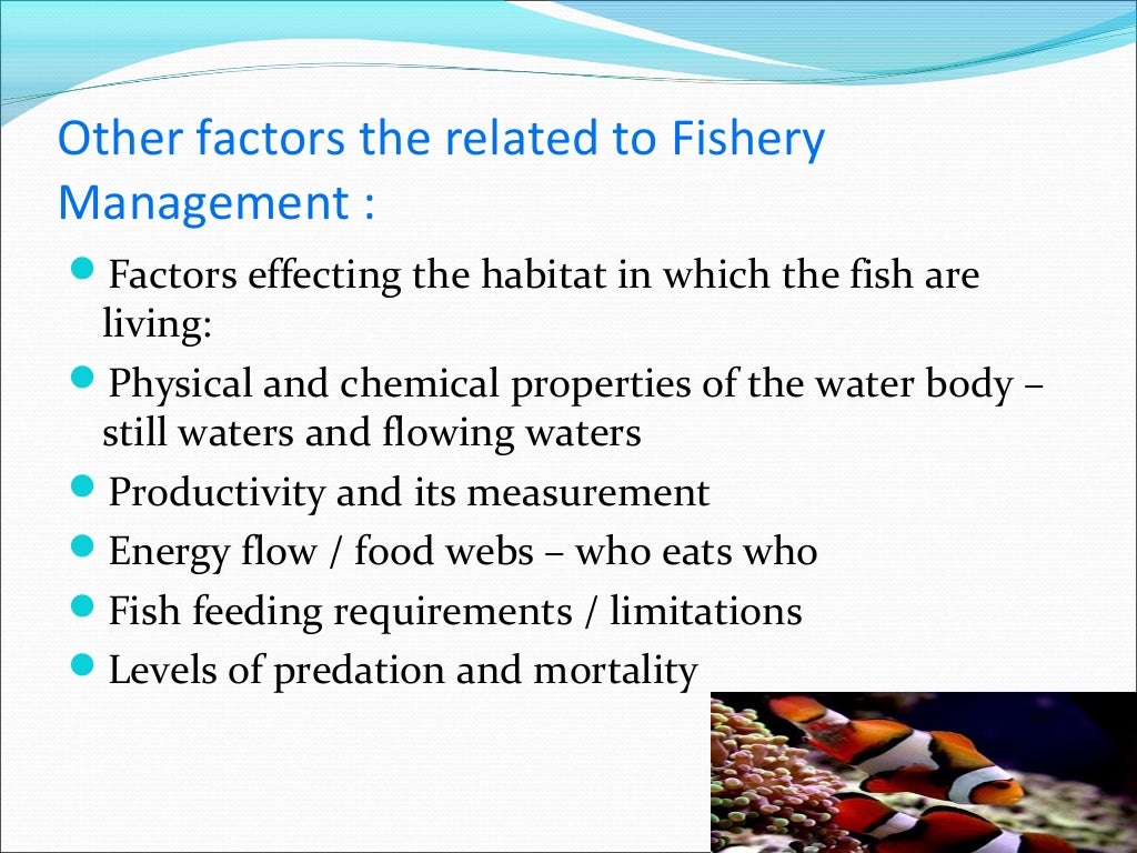 Management of fish production