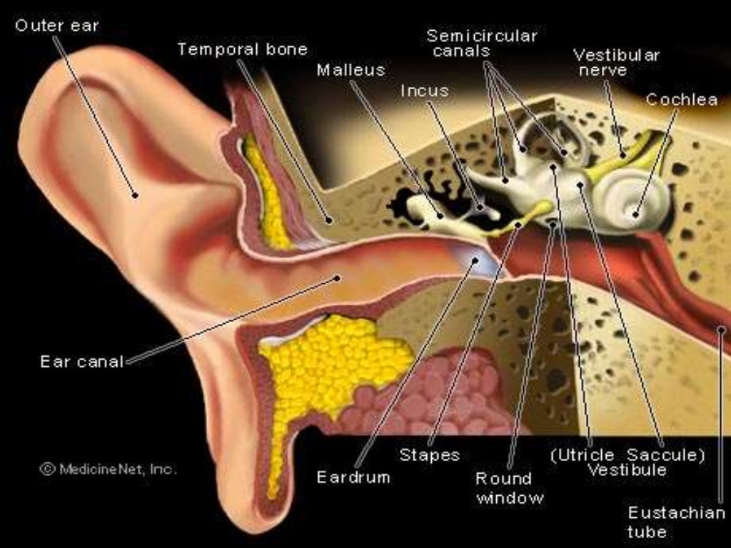 Management of foreign body in ear