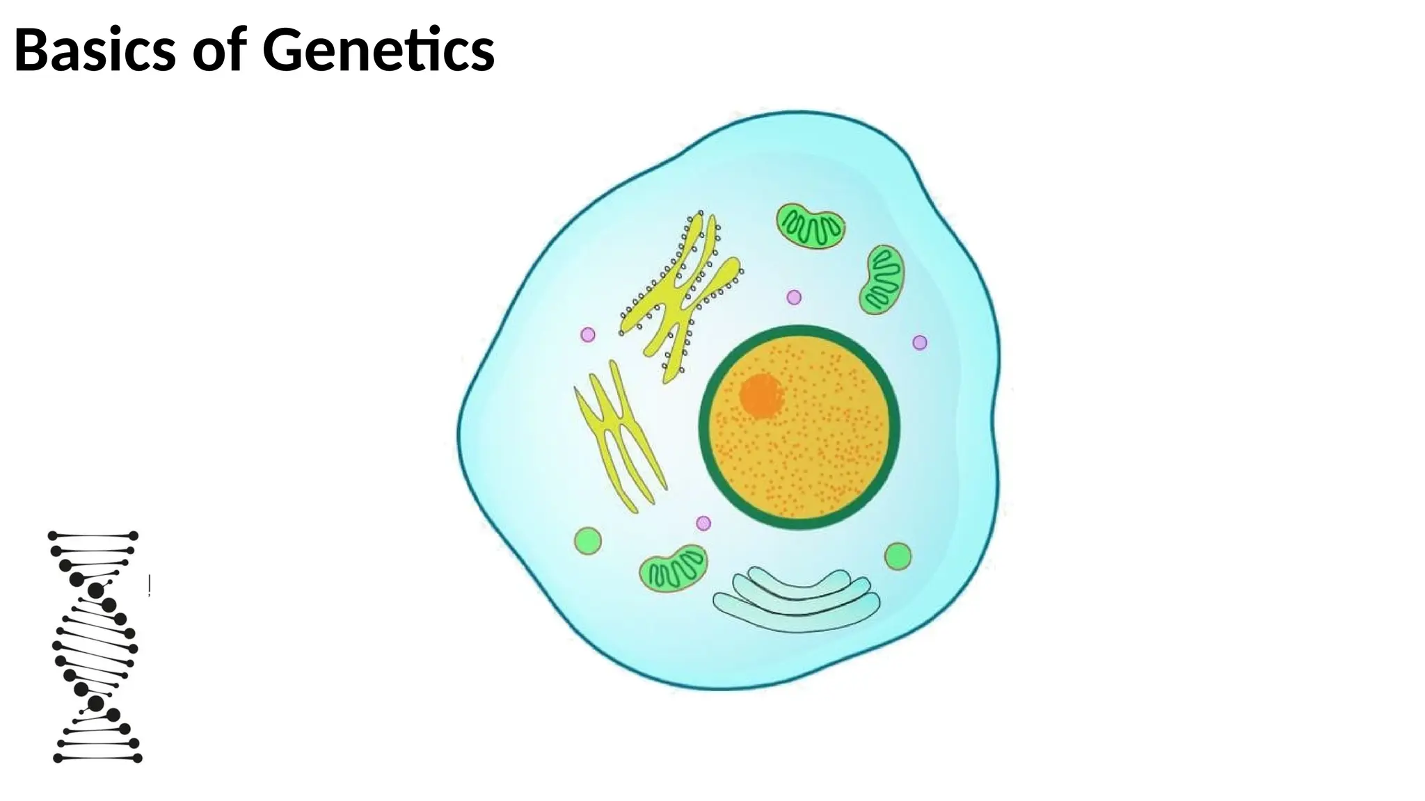 Management of Genetic Diseases.Modern and Ayurvedic perspective | PPTX