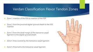 Verdan Classification Management of hand injuries & | PPTX