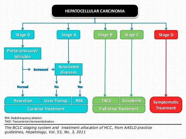 hepatocellular carcinoma diagnosis and treatment pdf