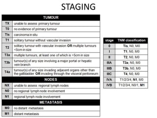 H Staging Management of hcc sneha | PPTX