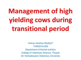 Management of high
yielding cows during
transitional period
Vishnu Vardhan Reddy.P
TVM/2015-029
Department of Animal nutrition
College of Veterinary Science, Tirupati
Sri Venkateswara Veterinary University
 