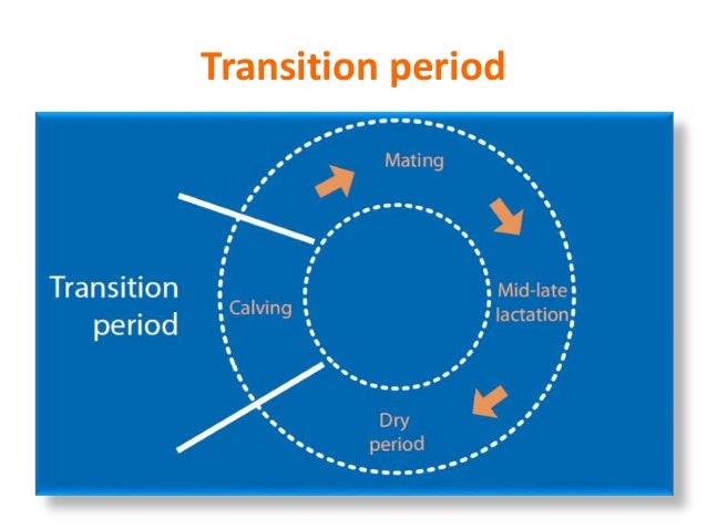 Management of high yielders during transition period