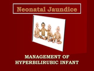 MANAGEMENT OFMANAGEMENT OF
HYPERBILIRUBIC INFANTHYPERBILIRUBIC INFANT
 
