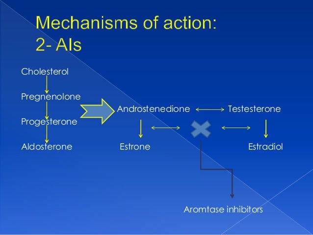 What is egfr in breast cancer
