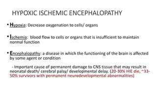 Management of hypoxic ischemic encephalopathy (HIE) by Sunil Kumar Daha ...