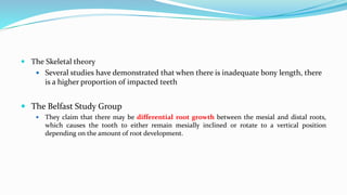  The Skeletal theory
 Several studies have demonstrated that when there is inadequate bony length, there
is a higher proportion of impacted teeth
 The Belfast Study Group
 They claim that there may be differential root growth between the mesial and distal roots,
which causes the tooth to either remain mesially inclined or rotate to a vertical position
depending on the amount of root development.
 