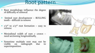 Root pattern
 Root morphology influence the degree
of difficulty of removal
 limited root development – ROLLING
tooth – difficult to remove
 1/3rd to 2/3rd root formation – easy to
remove
 Mesiodistal width of root > crown –
need sectioning longituidinally.
 Sometime multiple root may not be
visible on radiograph due to
superimposition.
 