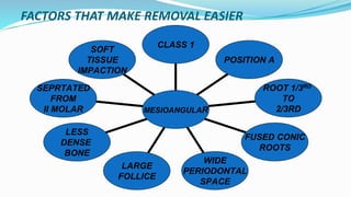 FACTORS THAT MAKE REMOVAL EASIER
SOFT
TISSUE
IMPACTION
SEPRTATED
FROM
II MOLAR
LESS
DENSE
BONE
LARGE
FOLLICE
WIDE
PERIODONTAL
SPACE
FUSED CONIC
ROOTS
ROOT 1/3RD
TO
2/3RD
POSITION A
CLASS 1
MESIOANGULAR
 