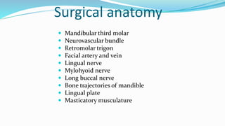 Surgical anatomy
 Mandibular third molar
 Neurovascular bundle
 Retromolar trigon
 Facial artery and vein
 Lingual nerve
 Mylohyoid nerve
 Long buccal nerve
 Bone trajectories of mandible
 Lingual plate
 Masticatory musculature
 
