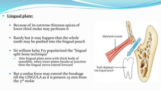  Lingual plate:
 Because of its extreme thinness apices of
lower third molar may perforate it
 Rarely but it may happen that the whole
tooth may be pushed into the lingual pouch
 Sir william kelsy Fry popularized the “lingual
split bone technique”
 thin lingual plate joins with thick body of
mandible, when inner plates breaks at junction
then the lingual nerve extend forward
 But a undue force may extend the breakage
till the LINGULA as it is present 25 mm from
the 3rd molar
 