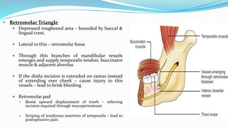 Retromolar Triangle
 Depressed roughened area – bounded by buccal &
lingual crest.
 Lateral to this – retromolar fossa
 Through this branches of mandibular vessels
emerges and supply temporalis tendon, buccinator
muscle & adjacent alveolus
 If the distla incision is extended on ramus instead
of extending over cheek – cause injury to this
vessels – lead to brisk bleeding
 Retromolar pad
 Resist upward displacement of tooth – relieving
incision required through mucoperiosteum
 Striping of tendinous insertion of temporalis – lead to
postoperative pain
 