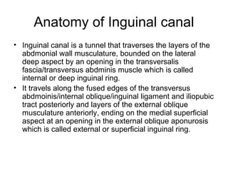 Management of inguinal hernia | PPT