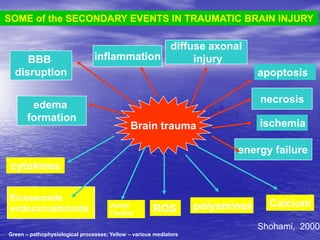Management of Intercranial Pressure