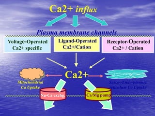 Management of Intercranial Pressure