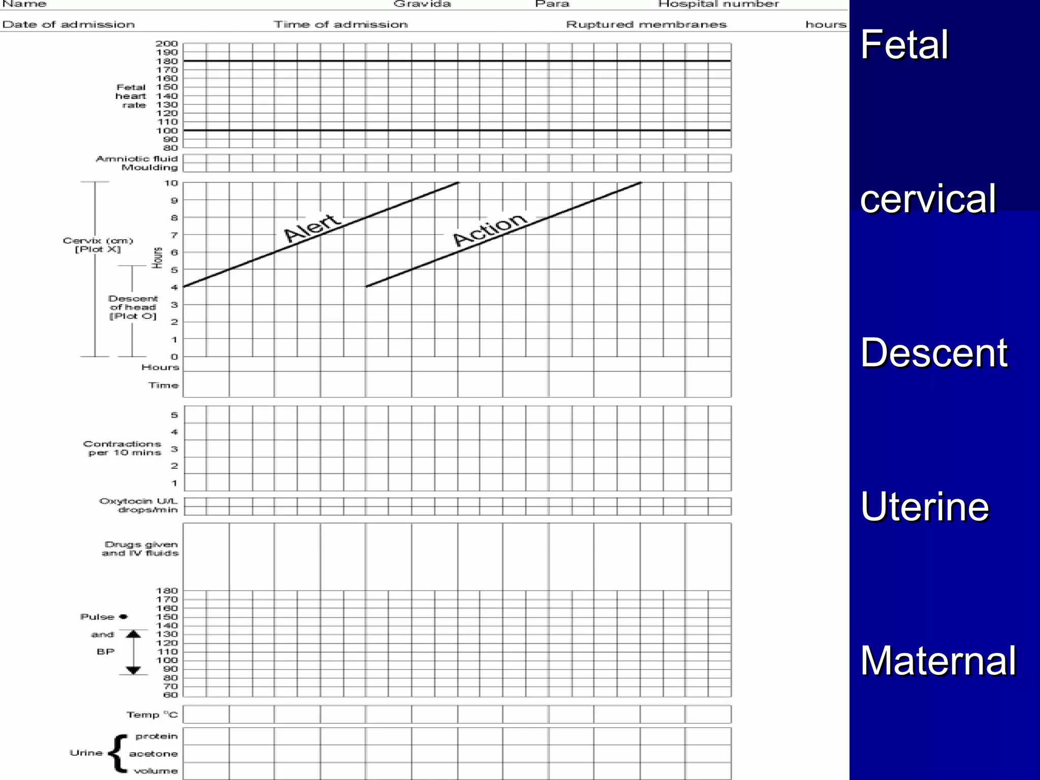 FFeettaall 
cceerrvviiccaall 
DDeesscceenntt 
UUtteerriinnee 
MMaatteerrnnaall 
 