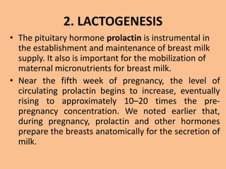 2. LACTOGENESIS
• The pituitary hormone prolactin is instrumental in
the establishment and maintenance of breast milk
supply. It also is important for the mobilization of
maternal micronutrients for breast milk.
• Near the fifth week of pregnancy, the level of
circulating prolactin begins to increase, eventually
rising to approximately 10–20 times the pre-
pregnancy concentration. We noted earlier that,
during pregnancy, prolactin and other hormones
prepare the breasts anatomically for the secretion of
milk.
 