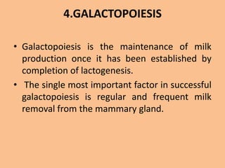 4.GALACTOPOIESIS
• Galactopoiesis is the maintenance of milk
production once it has been established by
completion of lactogenesis.
• The single most important factor in successful
galactopoiesis is regular and frequent milk
removal from the mammary gland.
 