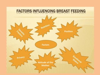 Attitude of the
Mother
Factors
Position
 