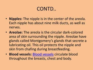 CONTD..
• Nipples: The nipple is in the center of the areola.
Each nipple has about nine milk ducts, as well as
nerves.
• Areolae: The areola is the circular dark-colored
area of skin surrounding the nipple. Areolae have
glands called Montgomery’s glands that secrete a
lubricating oil. This oil protects the nipple and
skin from chafing during breastfeeding.
• Blood vessels: Blood vessels circulate blood
throughout the breasts, chest and body.
 