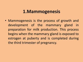 1.Mammogenesis
• Mammogenesis is the process of growth and
development of the mammary gland in
preparation for milk production. This process
begins when the mammary gland is exposed to
estrogen at puberty and is completed during
the third trimester of pregnancy.
 