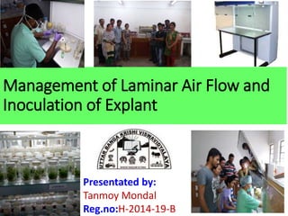 Management of Laminar Air Flow and
Inoculation of Explant
Presentated by:
Tanmoy Mondal
Reg.no:H-2014-19-B
 