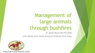 Management of
large animals
through bushfires
Dr James Meyer BSc(PV) DVM
with thanks to Dr James Vowles & Professor Chris Riley
 