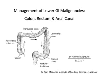 Management of Lower GI Malignancies:
Colon, Rectum & Anal Canal
Dr Animesh Agrawal
21.02.17
Rectum +
Anal Canal
Dr Ram Manohar Institute of Medical Sciences, Lucknow
 