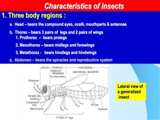 Management of major insect pests of organically grown egglant | PDF