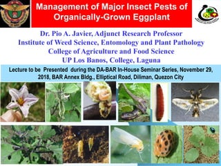 Management of Major Insect Pests of
Organically-Grown Eggplant
Dr. Pio A. Javier, Adjunct Research Professor
Institute of Weed Science, Entomology and Plant Pathology
College of Agriculture and Food Science
UP Los Banos, College, Laguna
0927-329-3893 / pio.javier@yahoo.com.ph
Nati
Lecture to be Presented during the DA-BAR In-House Seminar Series, November 29,
2018, BAR Annex Bldg., Elliptical Road, Diliman, Quezon City
 