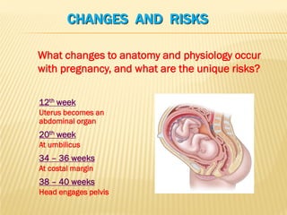 CHANGES AND RISKS
12th week
Uterus becomes an
abdominal organ
20th week
At umbilicus
34 – 36 weeks
At costal margin
38 – 40 weeks
Head engages pelvis
What changes to anatomy and physiology occur
with pregnancy, and what are the unique risks?
 