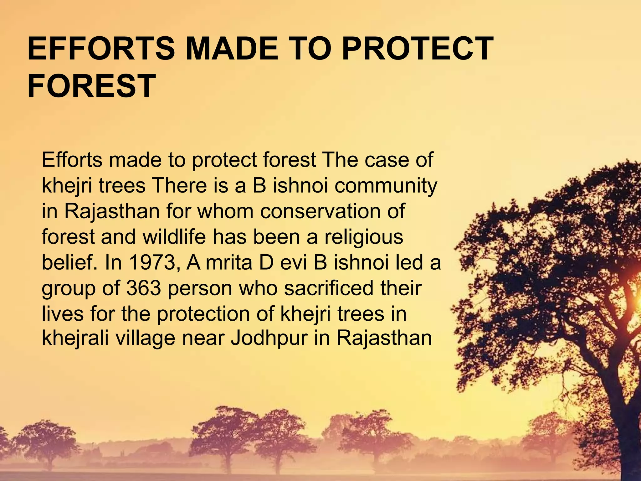 Efforts made to protect forest The case of
khejri trees There is a B ishnoi community
in Rajasthan for whom conservation of
forest and wildlife has been a religious
belief. In 1973, A mrita D evi B ishnoi led a
group of 363 person who sacrificed their
lives for the protection of khejri trees in
khejrali village near Jodhpur in Rajasthan
EFFORTS MADE TO PROTECT
FOREST
 