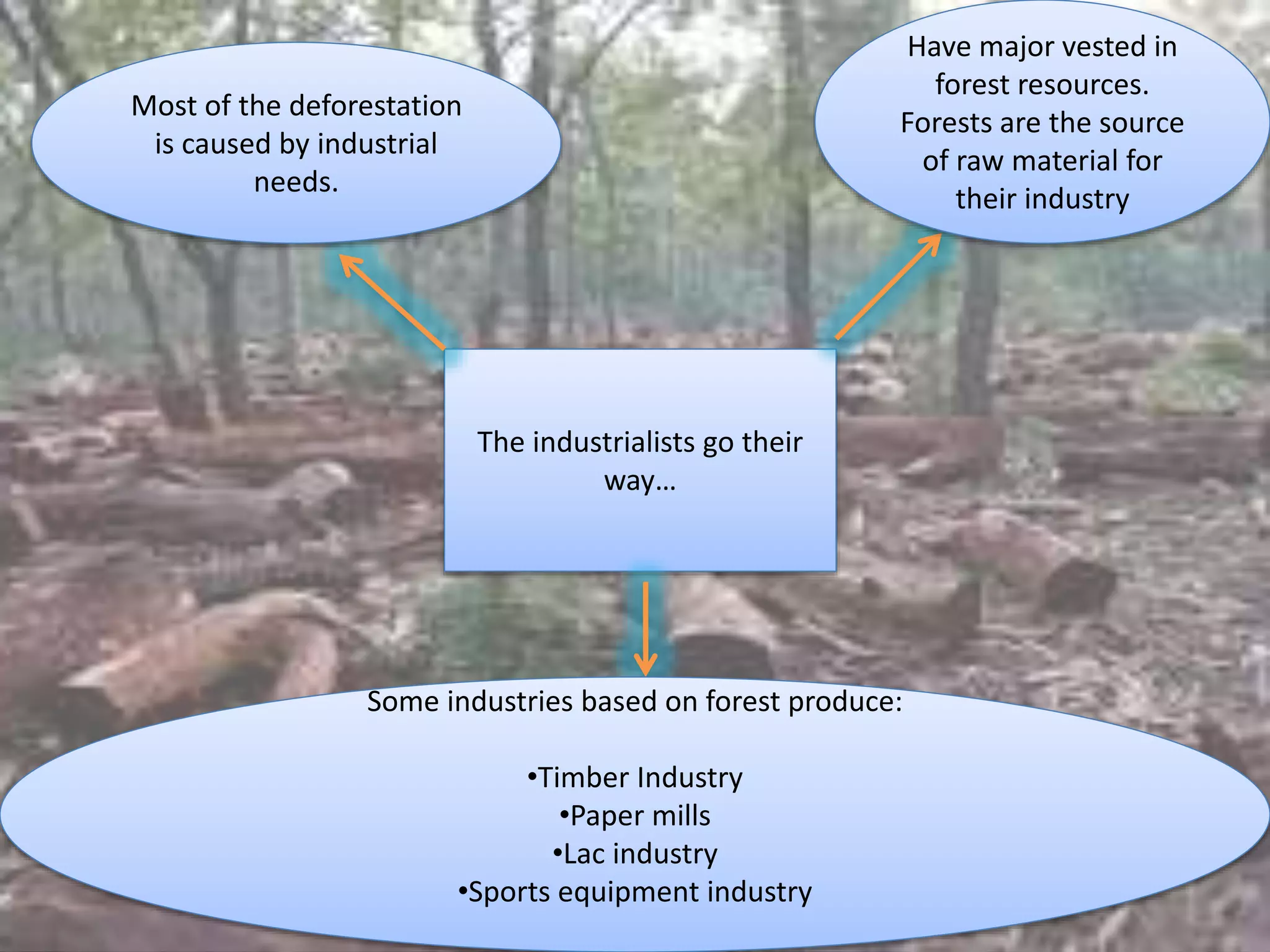 The industrialists go their
way…
Have major vested in
forest resources.
Forests are the source
of raw material for
their industry
Some industries based on forest produce:
•Timber Industry
•Paper mills
•Lac industry
•Sports equipment industry
Most of the deforestation
is caused by industrial
needs.
 