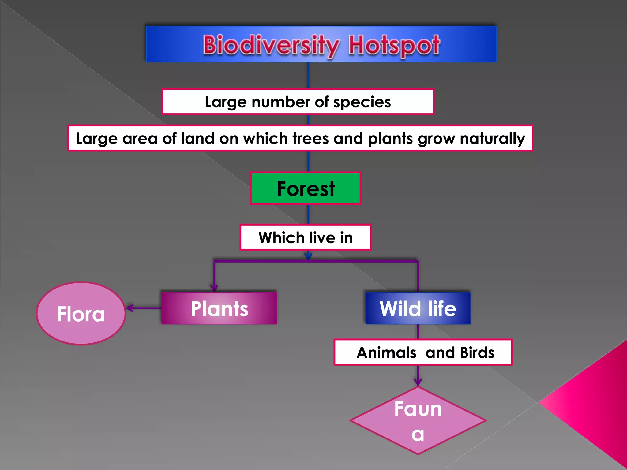 Flora
Faun
a
Which live in
Forest
Large area of land on which trees and plants grow naturally
Large number of species
Wild life
Animals and Birds
Plants
 