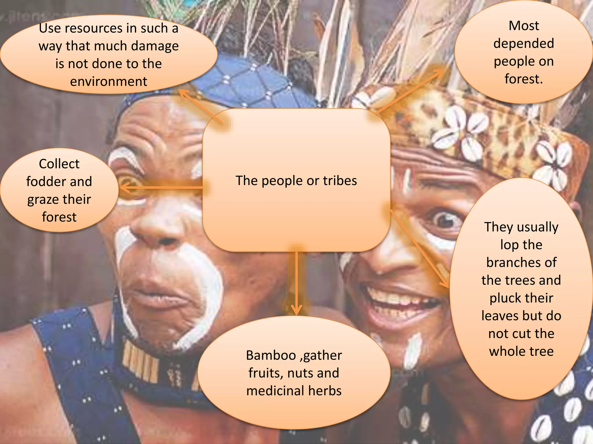 The people or tribes
Use resources in such a
way that much damage
is not done to the
environment
Collect
fodder and
graze their
forest
Most
depended
people on
forest.
They usually
lop the
branches of
the trees and
pluck their
leaves but do
not cut the
whole treeBamboo ,gather
fruits, nuts and
medicinal herbs
 