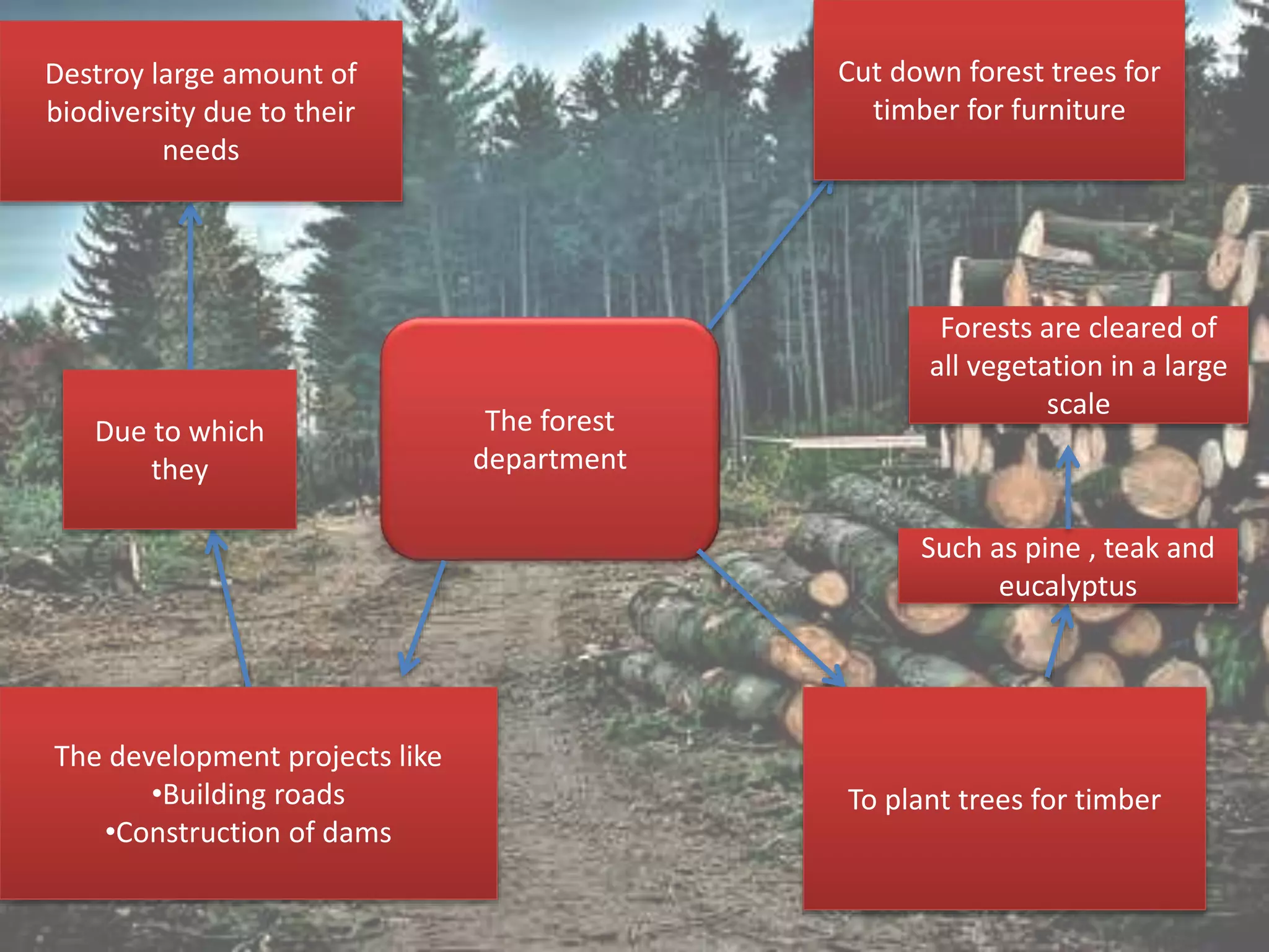 The forest
department
Destroy large amount of
biodiversity due to their
needs
Cut down forest trees for
timber for furniture
The development projects like
•Building roads
•Construction of dams
To plant trees for timber
Such as pine , teak and
eucalyptus
Forests are cleared of
all vegetation in a large
scale
Due to which
they
 