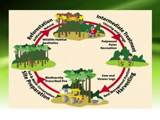 management of natural resources final.pptx