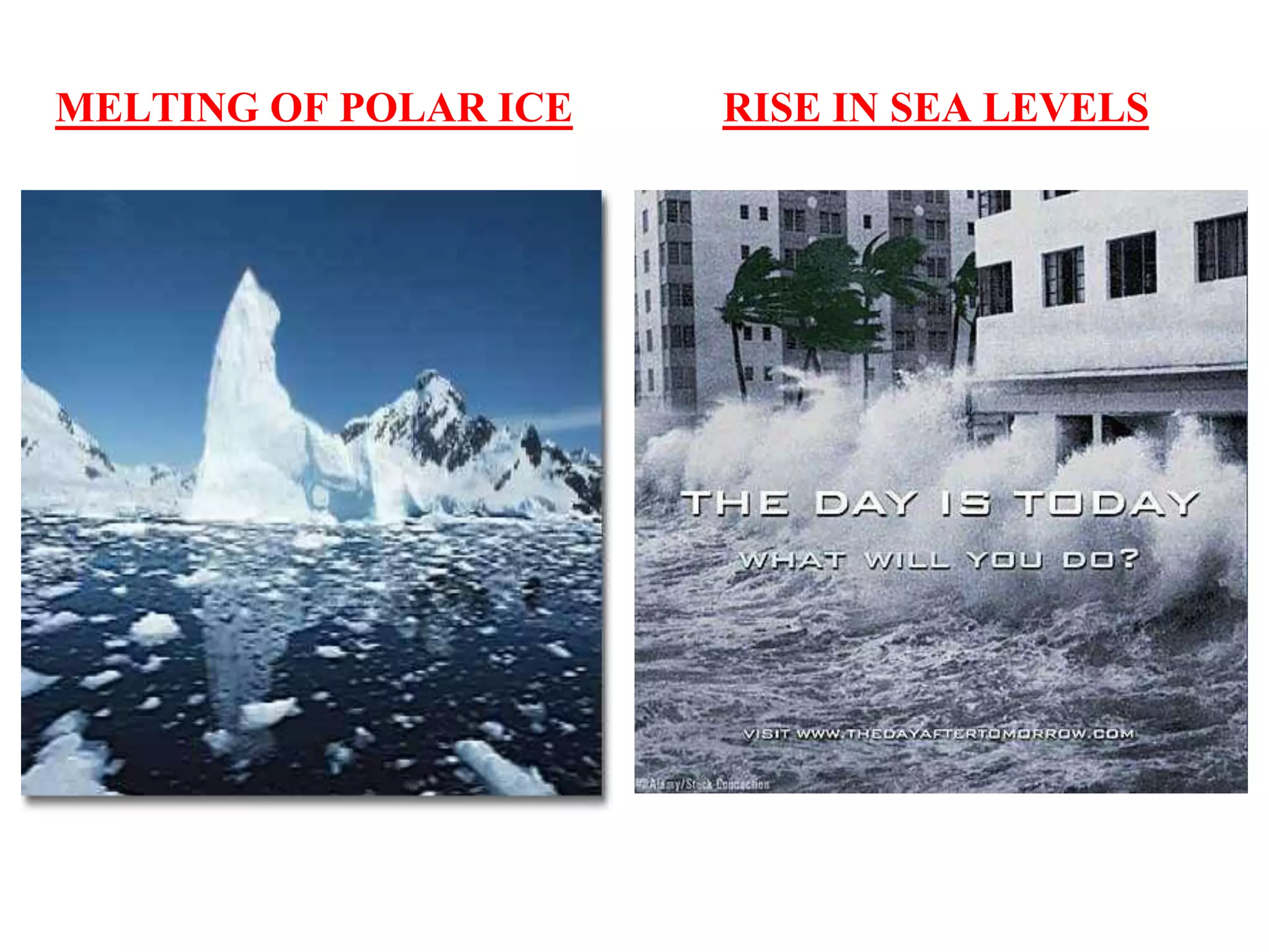 MELTING OF POLAR ICE

RISE IN SEA LEVELS

 