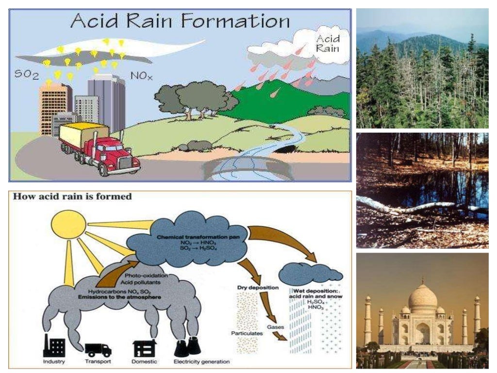 Management of natural resources ppt