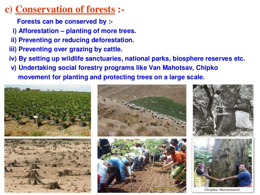Management Of Natural Resources Ppt